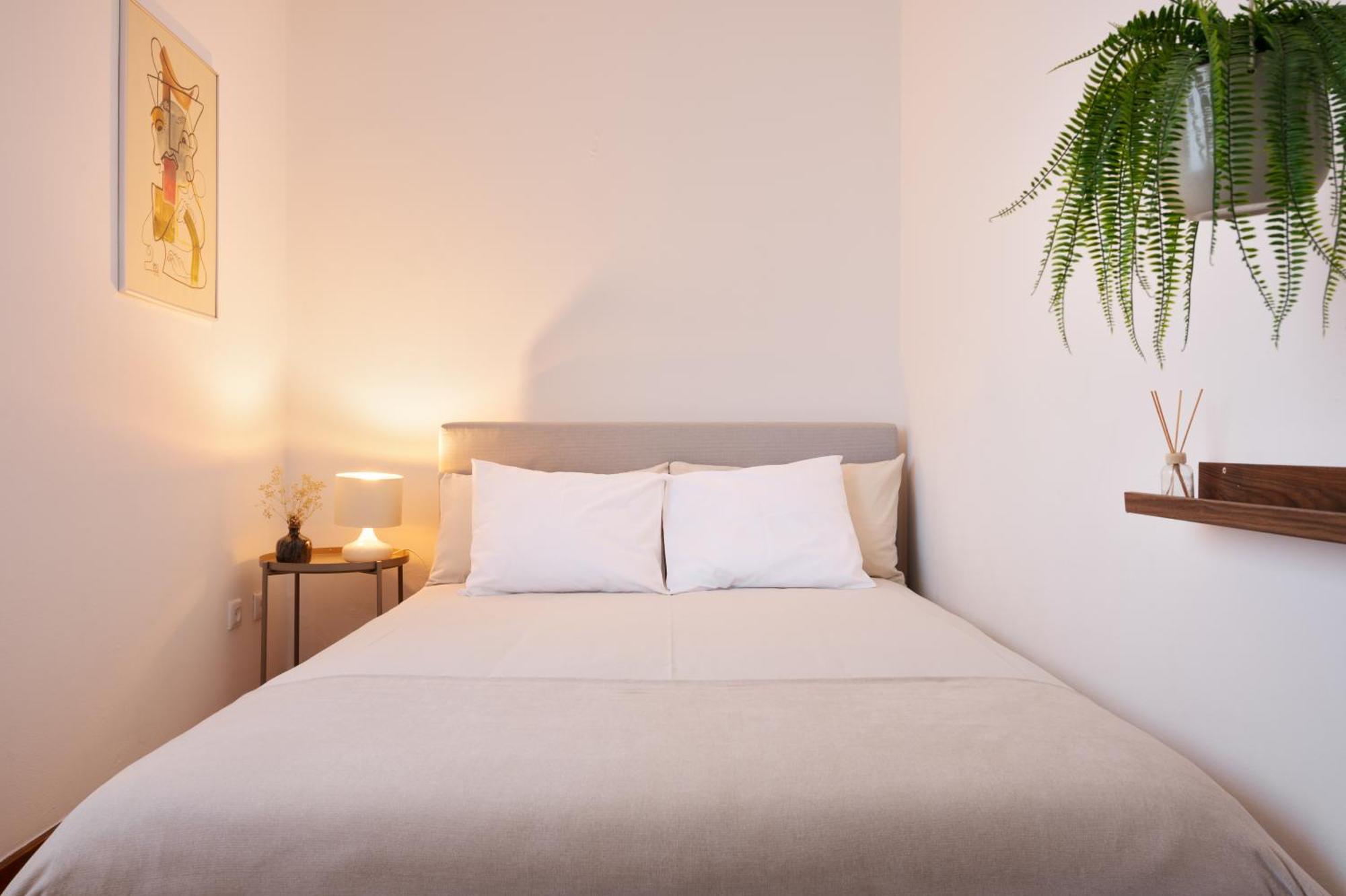 ! Bright 2Br Hammock Flat ! Praca Da Republica Apartment Porto Exterior foto